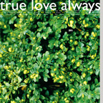 TRUE LOVE ALWAYS Spring Collection CD album