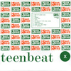 Teen-Beat 100 One Hundred compilation 7-inch vinyl 45